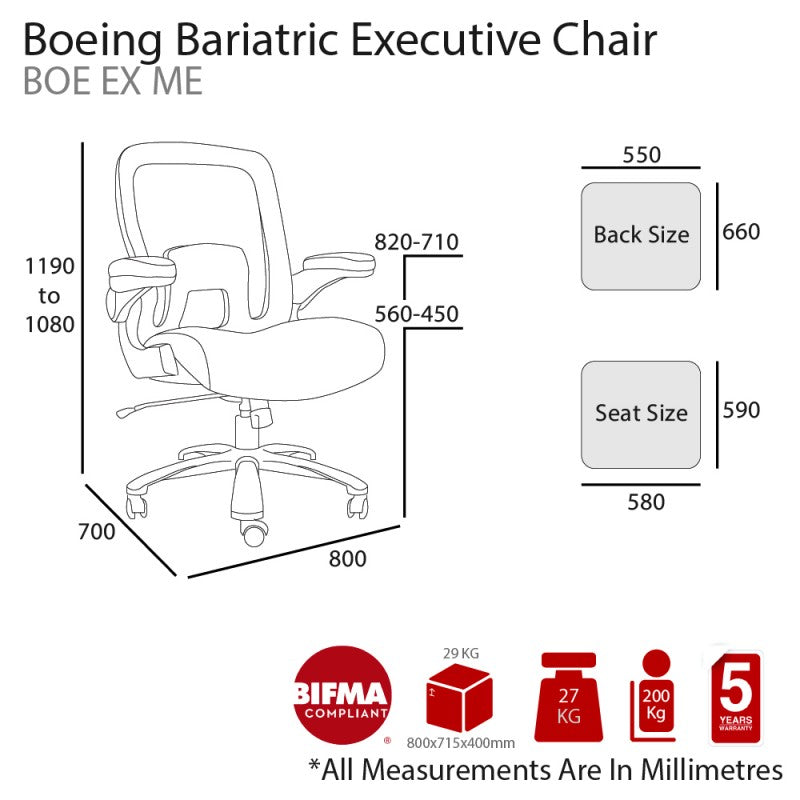 BoeingMeshDimensions2-800x800-1.jpg