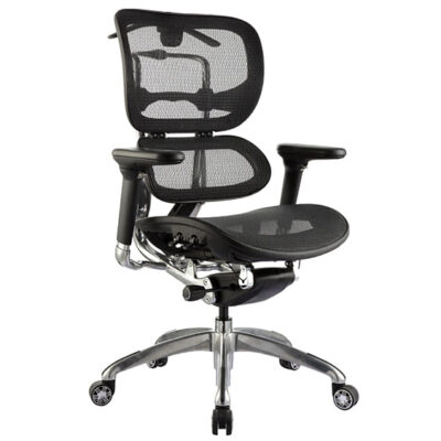 ERGO-1L.jpg