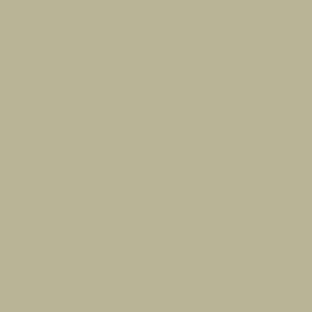 Fossil-3_33765e0f-63e2-4cf2-b16b-115ef84c87d2.png
