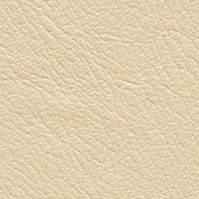 Matic_Vinyl_Coconut-6.jpg