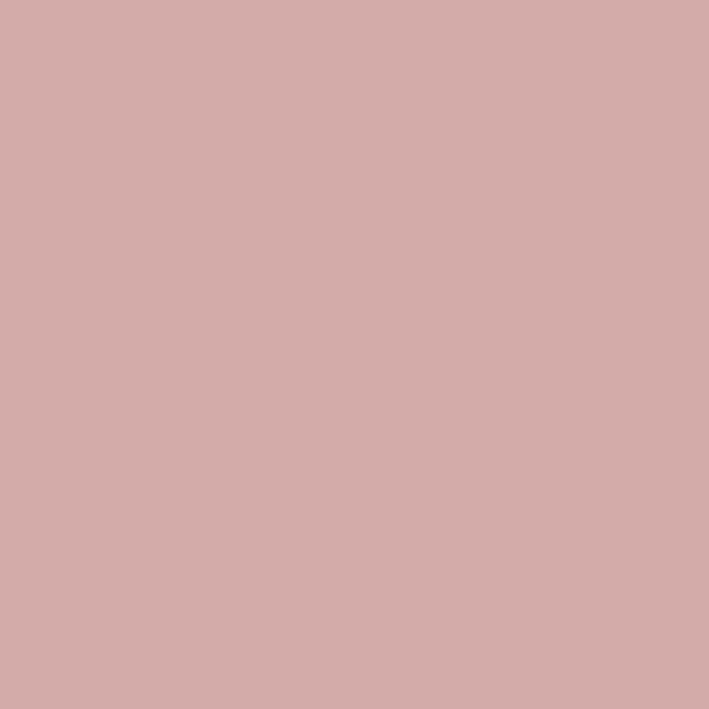 Salmon-2_0ec441c5-ffb5-4367-940a-43aa81460de0.png