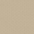 breathe_camel-1.png
